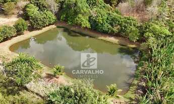 Imagem 3: Chácara a venda em Terezóplis-GO