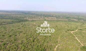 Imagem 3: Fazenda à venda, 1694000 m² por R$ 2.000.000,00 - Área Rural Alvorada do Norte - Alvorada