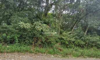 Imagem 3: TERRENO EM CANELA