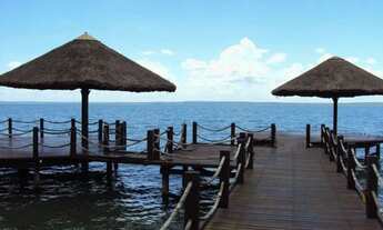 Imagem 7: LOTE RES POLINÉSIA C/ FUNDO PARA O LAGO, EXCLUSIVIDADE