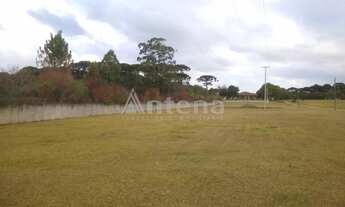 Imagem 4: Área para alugar por R$ 6000.00, 5000.00 m2 - IPE - SAO JOSE DOS PINHAIS/PR