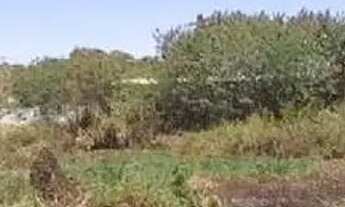 Imagem 5: VENDE- SE, UMA ÁREA DE 5.684 M², EM TRINDADE