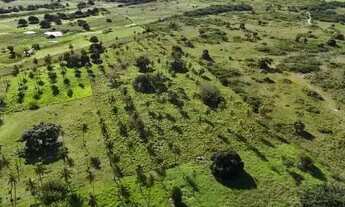 Imagem 2: Excelente fazenda com 50 hectares na região de São Gonçalo do Amarante cortada pelo rio Po