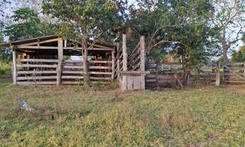 Imagem 6: Sítio excelente todo formado