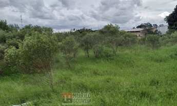 Imagem 2: Terreno com 15.000 m², à venda por R$ 11.200.000 - Eucaliptos, Fazenda Rio Grande (PR