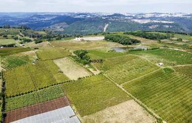 Imagem 4: INBOX CIA IMOBILILIÁRIA VENDE EM PINTO BANDEIRA - Área de terras com quatro hectares em Pi