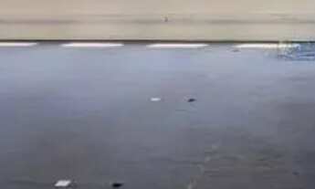 Imagem 5: CONJ. COMERCIAL - PINHEIROS - SP