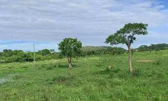 Imagem 3: Excelente Fazenda para cria e engorda de gado com 934 hectares à venda no município Unaí