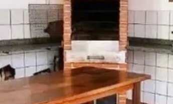 Imagem 7: Alugo apartamento no Ed Rio Orange