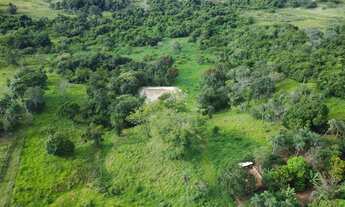 Imagem 3: Chacara para criação de gado em Goiás Velho com otimo preco