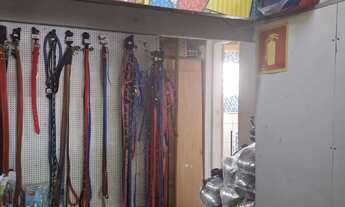 Imagem 3: Pet Shop em Local Nobre Butantã