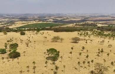 Imagem 2: Fazenda à venda 47 alq de cultura em Itauçu-GO
