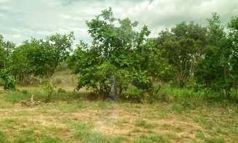 Imagem: Lote de chácara