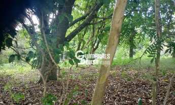Imagem 2: TERRENO À VENDA NO MIRANTE DAS ESTRELAS EM VINHEDO SP
