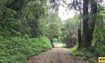 Imagem 6: Sítio / Chácara para Venda em Nova Petrópolis, Pinhal Alto
