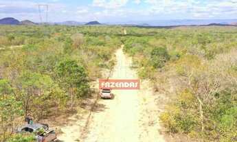 Imagem 5: Fazenda 960 alqueires (4.646 hectares) Colinas Do Sul - Go
