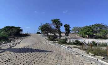 Imagem 2: Vendo TERRENO em SANTO AMARO-MA