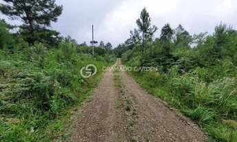 Imagem 5: SITIO NOVA PETROPOLIS