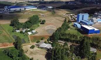 Imagem 2: Chácara Imperdível em Trindade do Sul, RS!