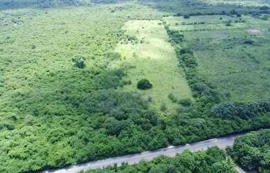 Imagem 3: Terreno a venda na Avenida Nicanor Barreto, Vale Quem Tem. 100,00x500,00!