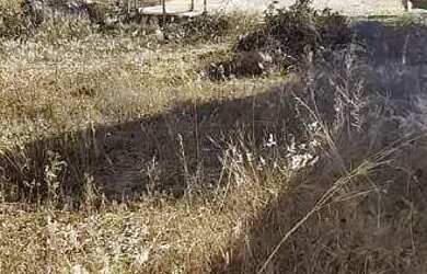 Imagem 7: Terreno à venda, 240 m² por R$ 70.000,00 - Rural - Abadiânia/GO