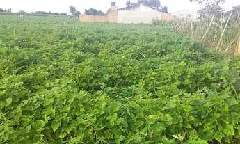 Imagem 2: Vende-se Terreno 13x70