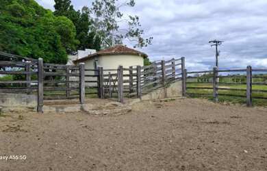 Imagem 3: FAZENDA EM IBIQUERA - 2000 TAREFAS