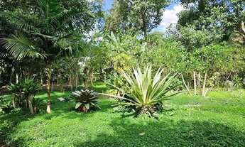 Imagem 5: Terreno Amplo no Parque São Clemente com 1.475m² e excelente topografia à venda por R$595