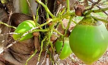 Imagem: Oportunidade vendo ou troco carro ou moto