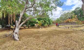 Imagem 2: Terreno em Avenida