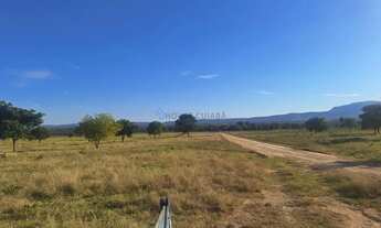 Imagem 3: VENDO!!! Uma fazenda com 630 alqueires (1.512 hectares) na região da cidade do P