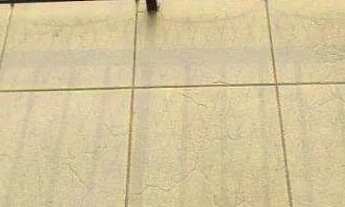 Imagem 2: Apartamento com 2 dormitórios à venda, 46 m² por R$ 320.000,00 - Parque Jaçatuba - Santo A