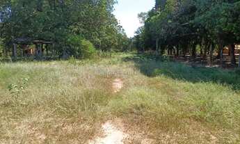 Imagem 7: Sitio com 10 hectares de porteira fechada na região da praia grande na cidade de