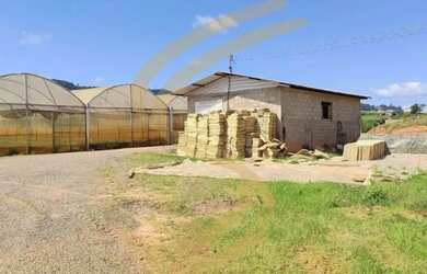 Imagem 4: Chegou a oportunidade que você esperava para investir no agronegócio!