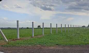 Imagem 5: Sítio de 6 Alqueires em Potirendaba ao lado de SJ do Rio Preto - SP