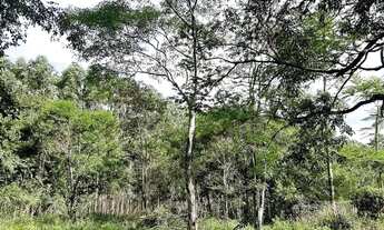 Imagem 2: Apartamento para Venda - 120m², 1 dormitório, 1 vaga - Centro Novo