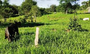 Imagem 5: 10 alqueires 172 km de Goiânia
