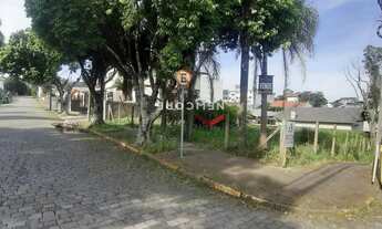 Imagem 3: Lote em Rua Coelho Neto - Petrópolis - Caxias do Sul/RS