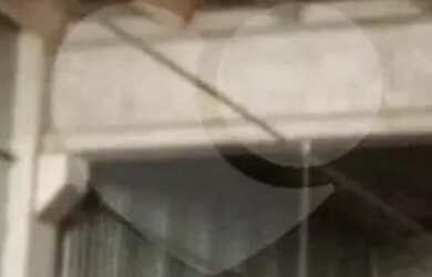 Imagem 3: Galpão para locação em Parque São Domingos - SP