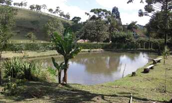 Imagem 3: Sítio 40.000 m2 em Camanducaia-MG