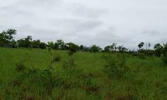 Imagem 7: Fazenda de 1050 hectares Bonfim/RR, ler descrição do anuncio