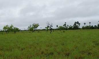 Imagem 4: Fazenda de 1050 hectares Bonfim/RR, ler descrição do anuncio