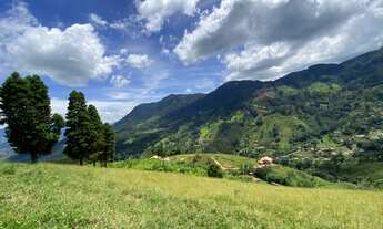 Imagem: Terreno para venda tem 2500 metros quadrados