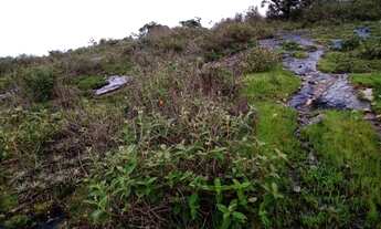 Imagem 6: Terreno com área de 65 hectares em Cláudio/MG