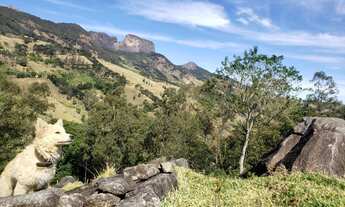 Imagem: Lote/Terreno para venda em São Bento do