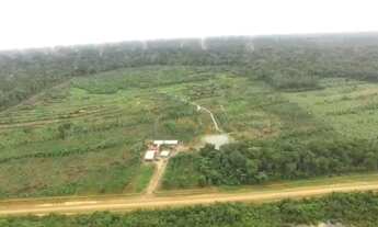 Imagem 3: SÍTIO BR-230 SENT. LABREA CANUTAMA-AMAZONAS