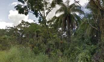 Imagem: Fazenda de 300 ha. Venda. Jaboticatubas