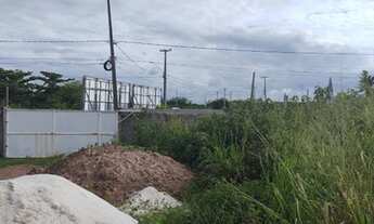 Imagem 5: 3 LOTES COM ESTRUTURA DE GALPÃO CONSTRUIDA - PAIVA - BARRA DE JANGADA