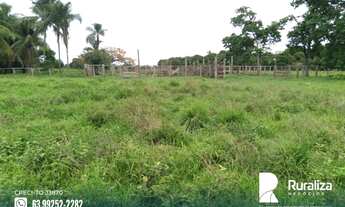 Imagem 4: Fazenda com dupla aptidão na região de Bernardo Sayão - TO