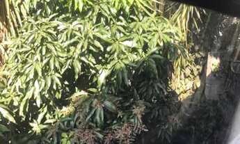 Imagem: Sobrado em rua sem saída, com terreno de